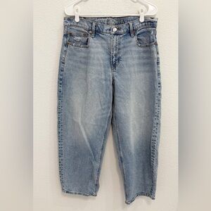 American Eagle Outfitters Barrel Jeans